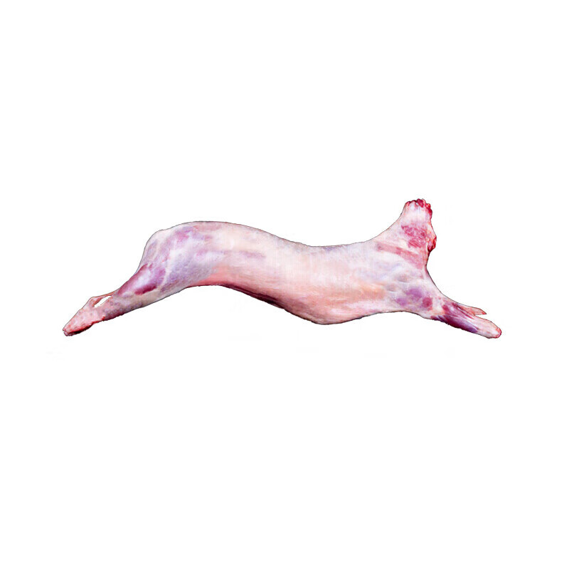 新疆羊肉新鲜现杀阿勒泰大尾羊羔羊肉礼盒整只羊全羊左右送礼现杀 全