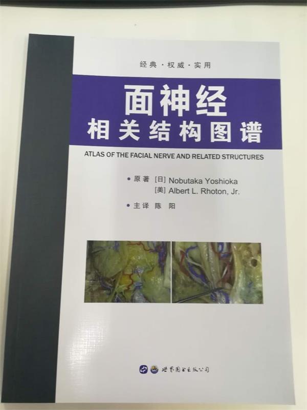 面神经相关结构图谱