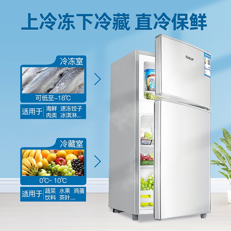 志高（CHIGO）【送货上门】 小冰箱迷你双门 小型电冰箱 家用小冰箱宿舍冷冻冷藏冷冻节能特价 【BCD-43P128-43L银色】