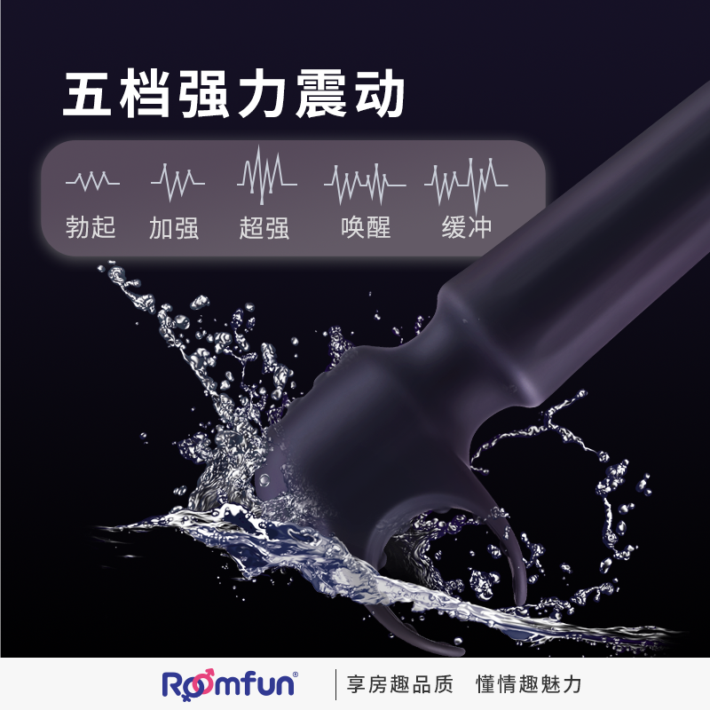 Roomfun房趣男用震动棒阴茎按摩器龟头训练器av棒情趣用品夫妻房事用品 【黑色款】5种模式+送情趣护理包