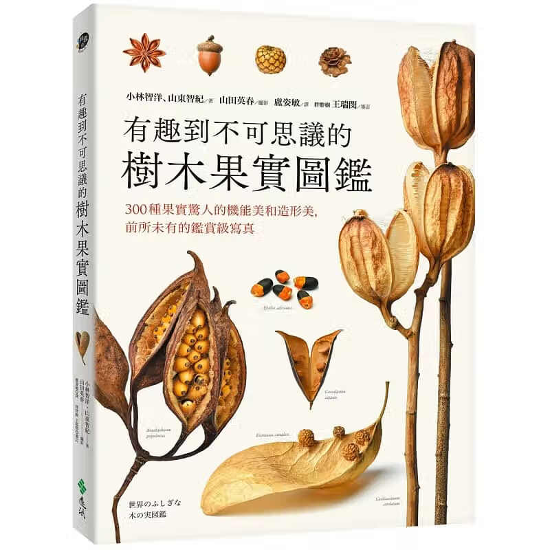 在途 小林智洋 有趣到不可思议的树木果实图鉴：300种果实惊人的机能美和造形美，的鉴赏级写真 远流