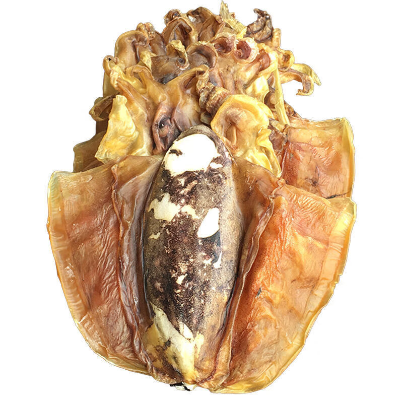 欣翠屏北海墨鱼干货大号目鱼干煲汤 特品纯野淡干墨1斤6-9只【99成干