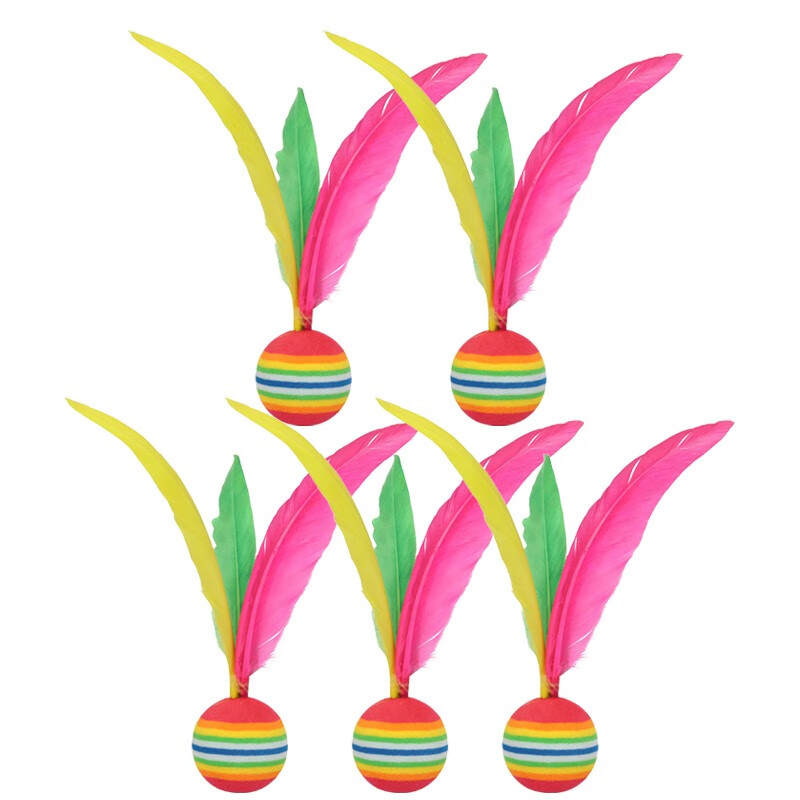 华诗孟 板羽拍三毛球牛筋球耐打高弹球板羽球拍专用球 大头球5个