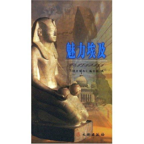 魅力埃及 霍文杰 文化 9787501022939