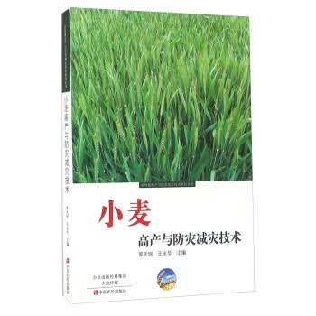 小麦高产与防灾减灾技术