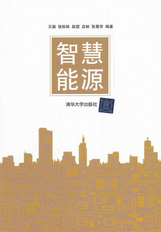 智慧能源 王毅等编著【正版书】