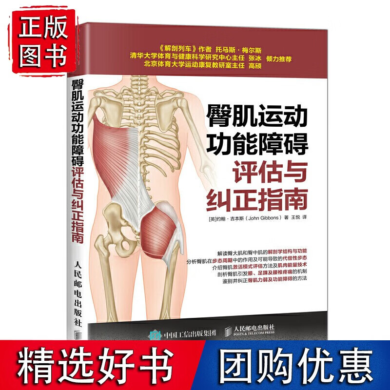 臀肌运动功能障碍评估与纠正指南