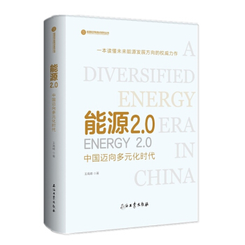 能源2 0：中国迈向多元化时代