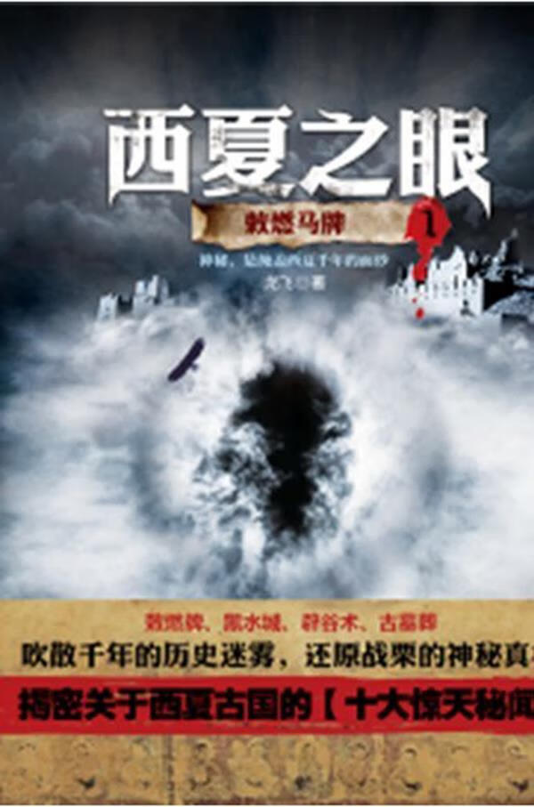 西夏之眼 敕然马牌1 龙飞