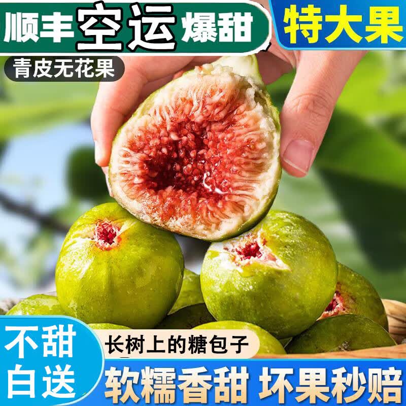 四叔公果蔬山东威海青皮无花果【顺丰空运到家】当季荣威成海青皮无花果鲜果 【2斤装丨一人尊享】 【精选一级果】怎么看?