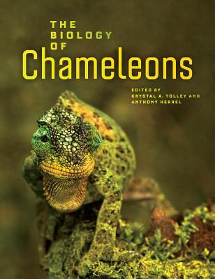 预订 高被引The Biology of Chameleons