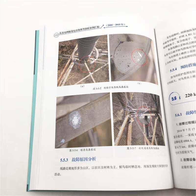 东北电网输变电设备典型故障案例汇编（2006-2015年）详情图