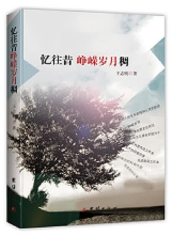 忆往昔峥嵘岁月稠【正版图书，放心购买】