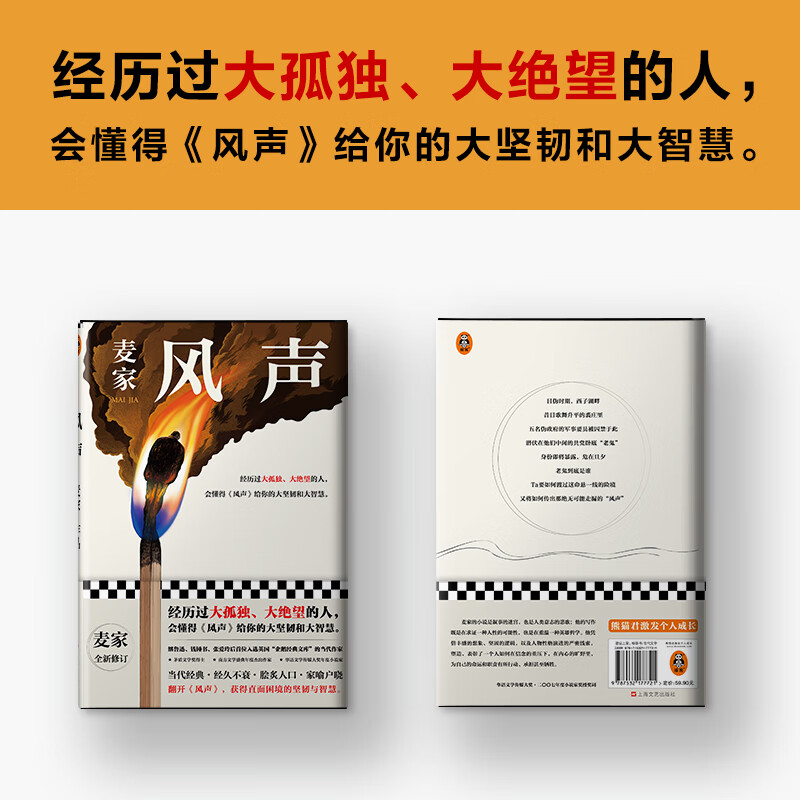 风声(精) 麦家 新版