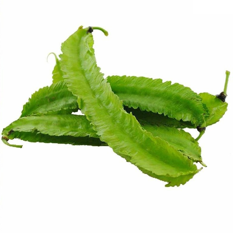 味小仙 海南特產(chǎn)四角豆 新鮮豆角現(xiàn)摘四棱豆龍豆蔬菜 3斤