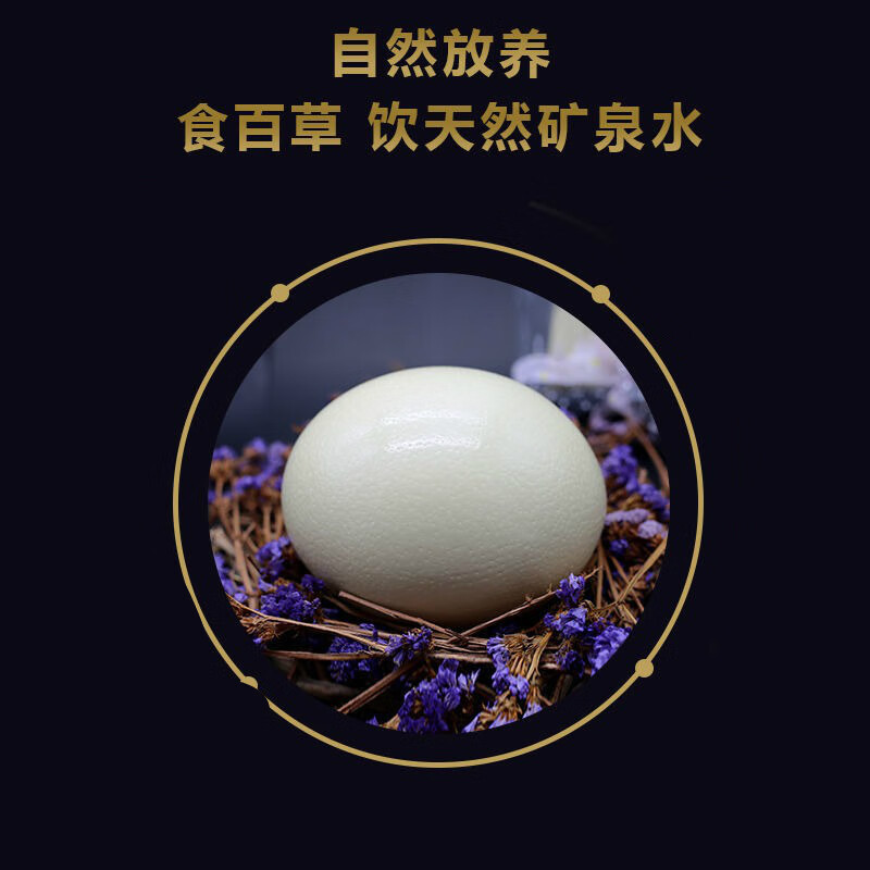 鸵鸟蛋超大号蛋新鲜食用蛋鸟蛋鸡蛋 新鲜蛋2-2.
