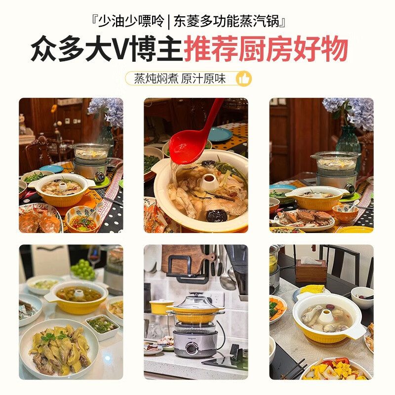 东菱（Donlim） 多功能蒸炖锅 家用电蒸锅 电炖盅煲汤煮粥蒸汽锅隔水炖火锅电火锅DL-9009 料理锅（煮锅+汽锅） 2L