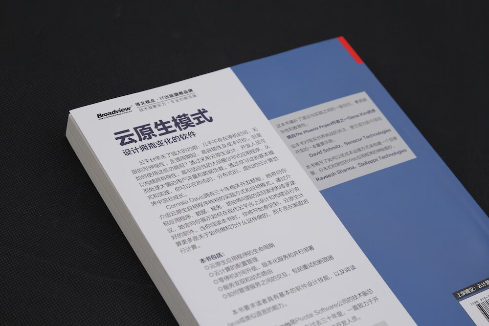云原生模式(博文视点出品)详情图