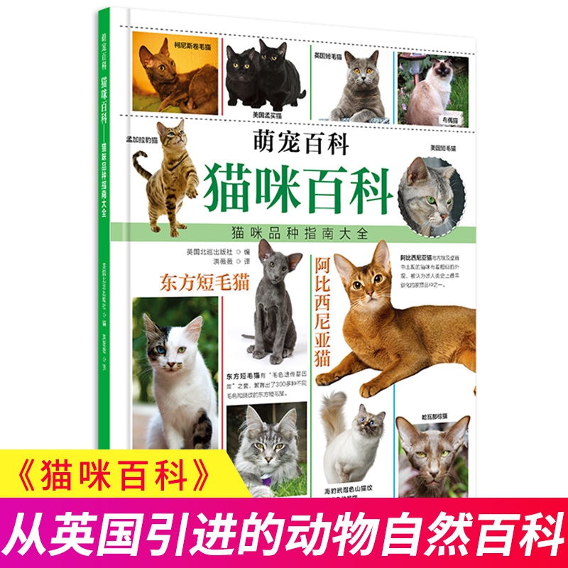 萌宠百科系列——猫咪百科