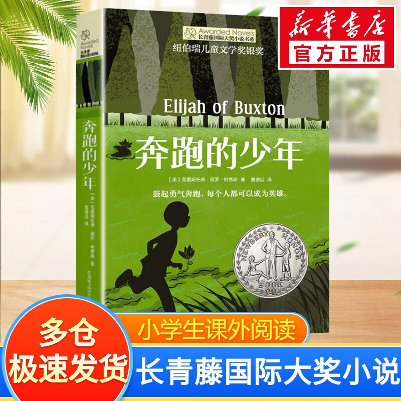 【赠海量电子书】长常青藤国际大奖小说书系 奔跑的少年