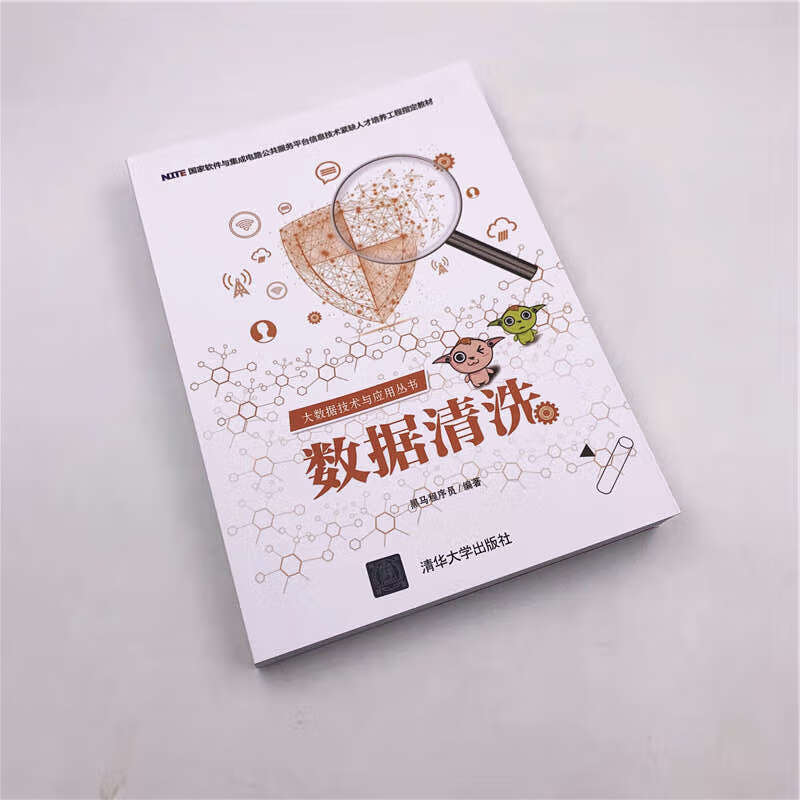 数据清洗/大数据技术与应用丛书详情图
