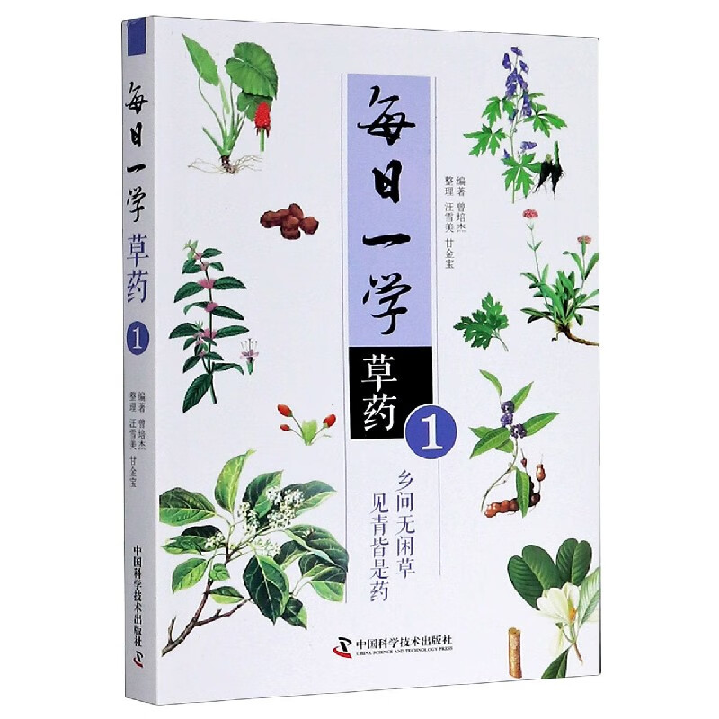 每日一学草药(1)