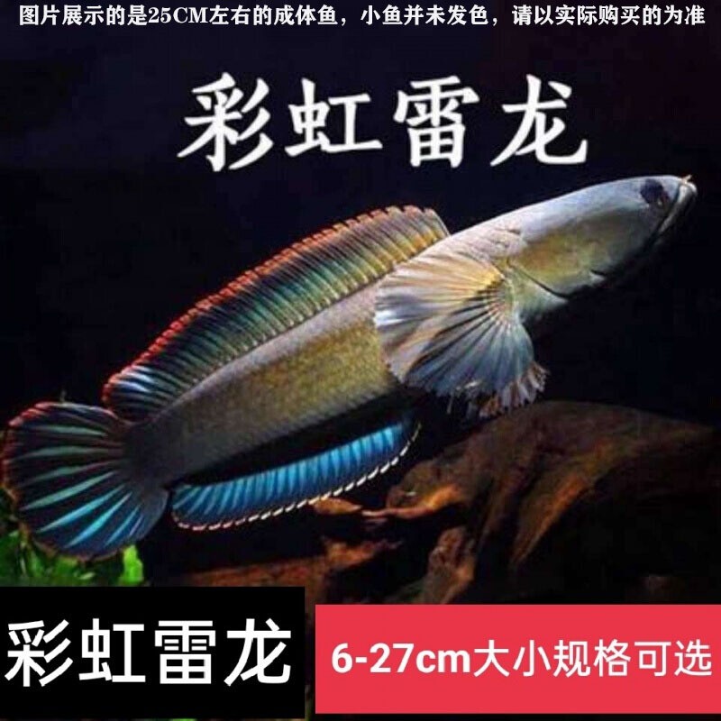 京东水族活体历史售价查询网站|水族活体价格走势图