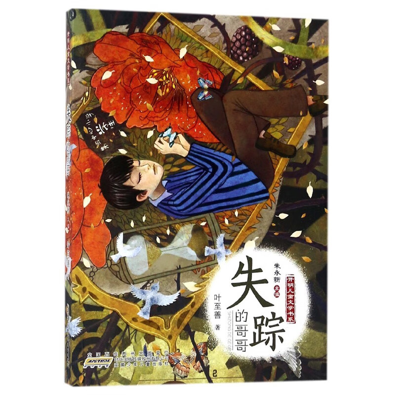 安少开明儿童文学书系 失踪的哥哥 卡通故事小学生课外阅读书 儿童