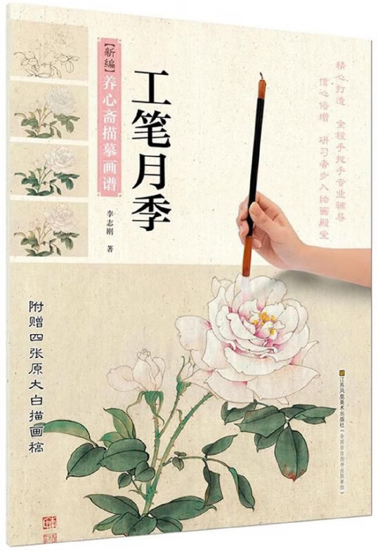 工笔月季/新编养心斋描摹画谱