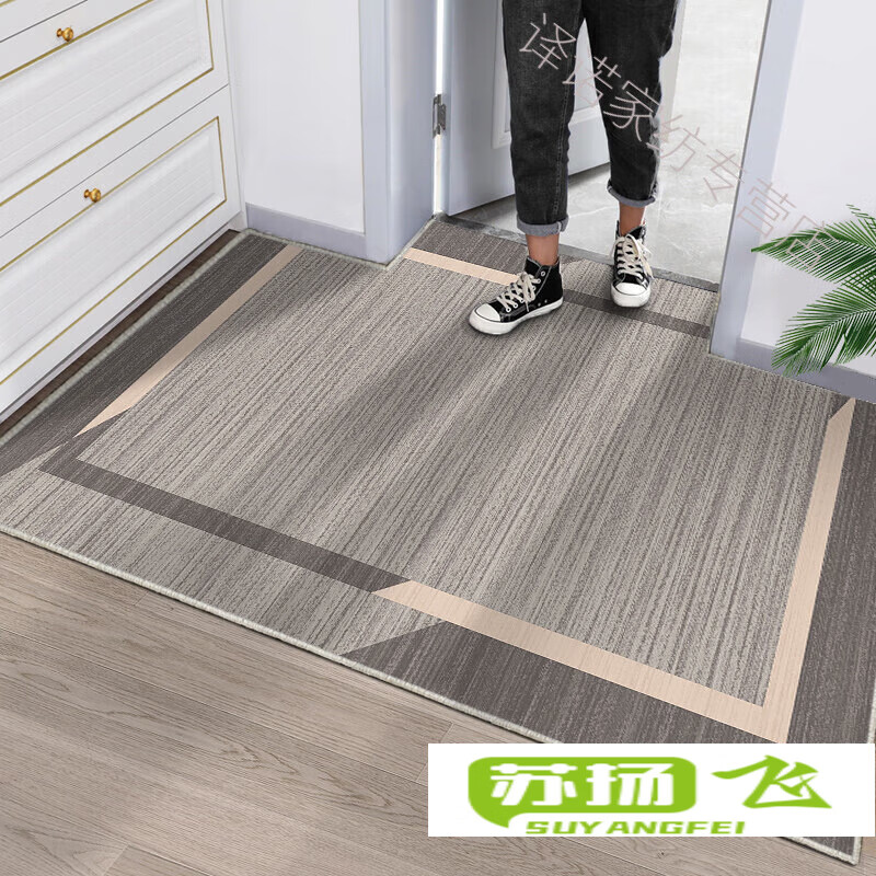 入户门垫客厅门口进户入门脚垫北欧家用免洗蹭脚垫子进门 现代35号