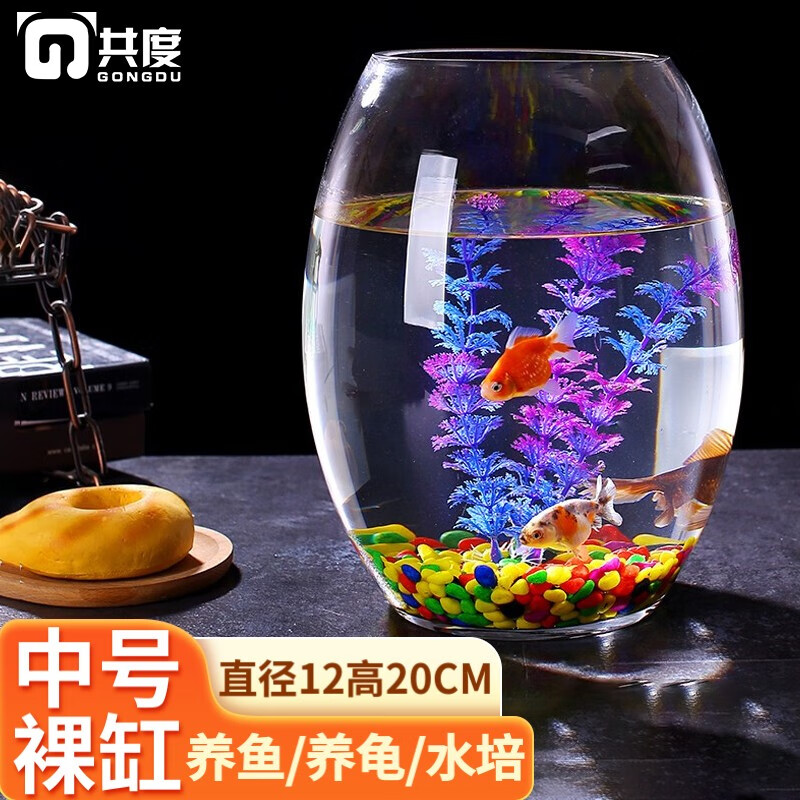 共度（Gong Du）创意桌面鱼缸 生态圆形玻璃金鱼缸乌龟缸 迷你小型造景家用水族箱 中号裸缸 口径12CM 肚径16CM 高度20CM