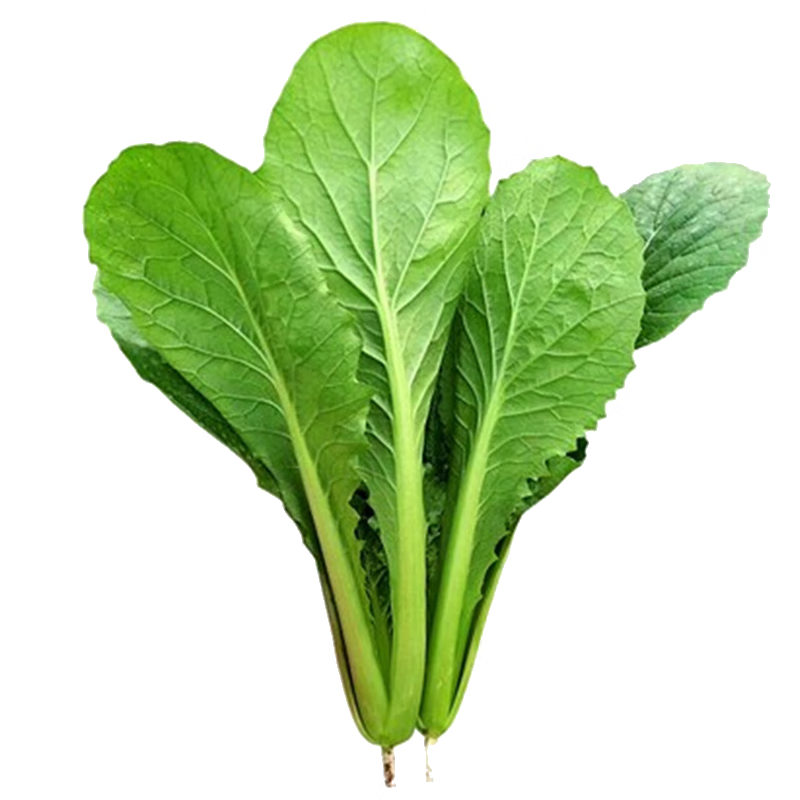 �����ļ�С�ײ������๣С�ײ��Ѵ�����̨�������Ͱײ�С����߲����� ���������ļ�С�ײ�10��ԭװ