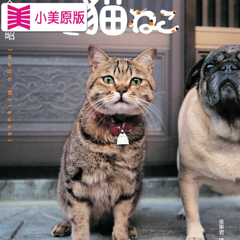 预售 原版进口书 岩合光昭岩合光昭 猫大石国际文化