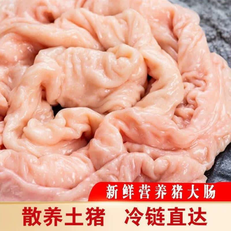 铭语然新鲜猪大肠肥肠冷冻猪肠头猪肠子猪生肠生大肠大肠头半熟大肠