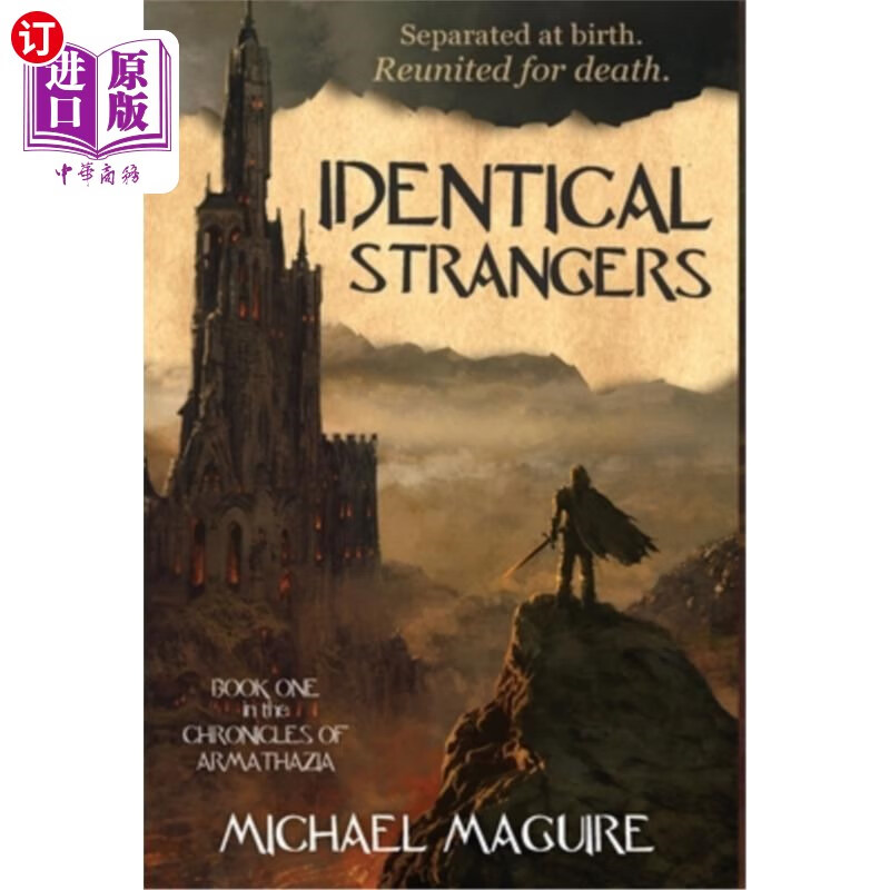 海外直订identical strangers 相同的陌生人