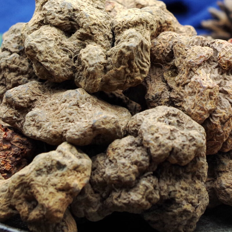 北京同仁/堂 朱纱莲中药材 500克 躲蛇生 猪砂连 牛血莲 新货大块原色