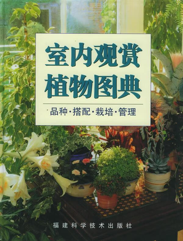 室内观赏植物图典:品种·搭配·栽培·管理