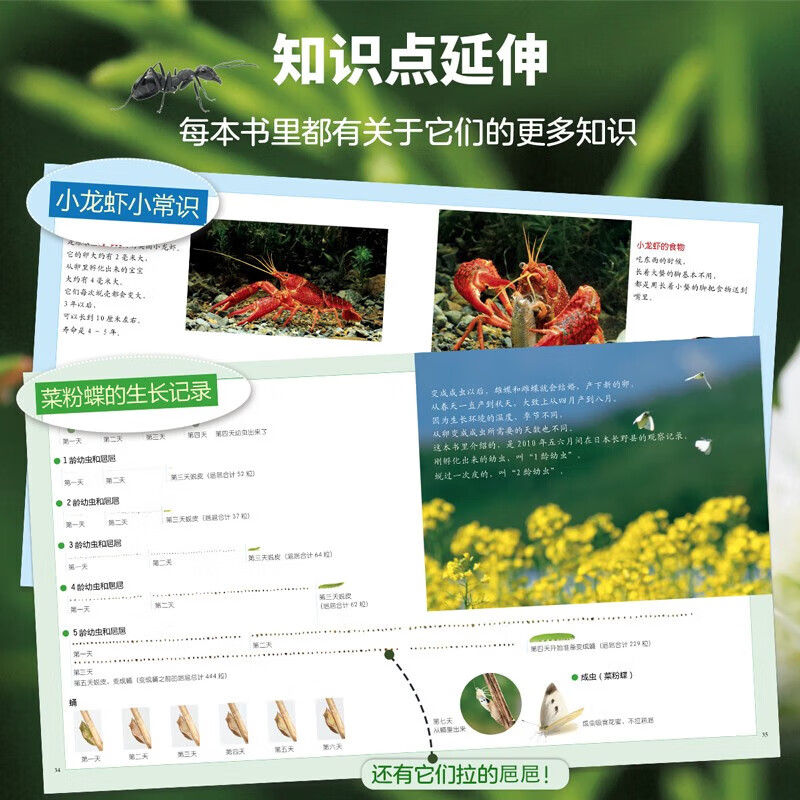 生命的故事 第1辑 高清实拍小自然昆虫动物科普 儿童绘本3-6岁幼儿园科学百科知识图书课外阅读 《人民日报》推荐 生命的故事 第1辑10册