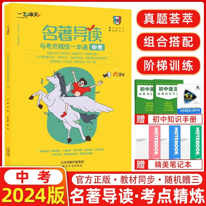 2024版 天津版一飞冲天中考名著导读与考点精练一本通中考语文初中总复习名著导读七八九年级中考总复习