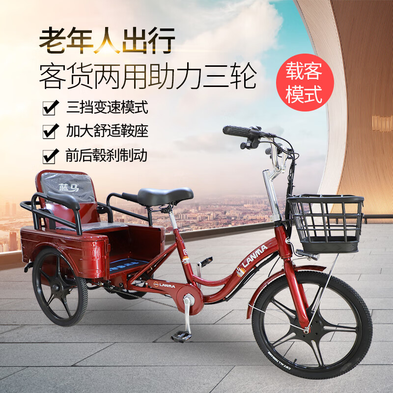 弗兰德老年电动三轮车一体轮脚踏助力人力三轮锂电带人拉货轻便安全
