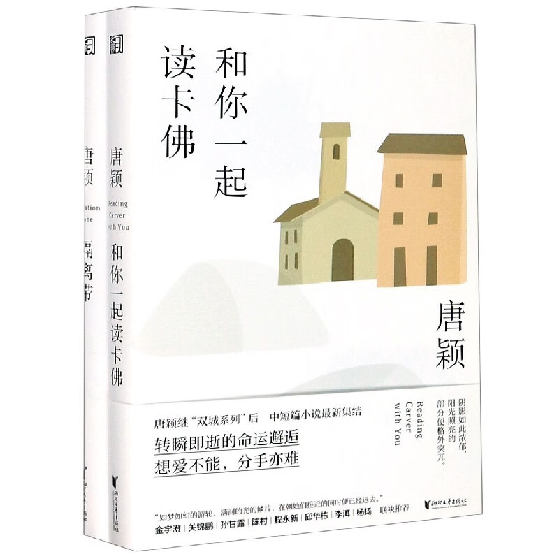 唐颖都市女性小说系列(共2册)