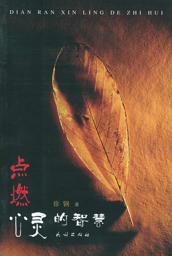 点燃心灵的智慧【正版图书】