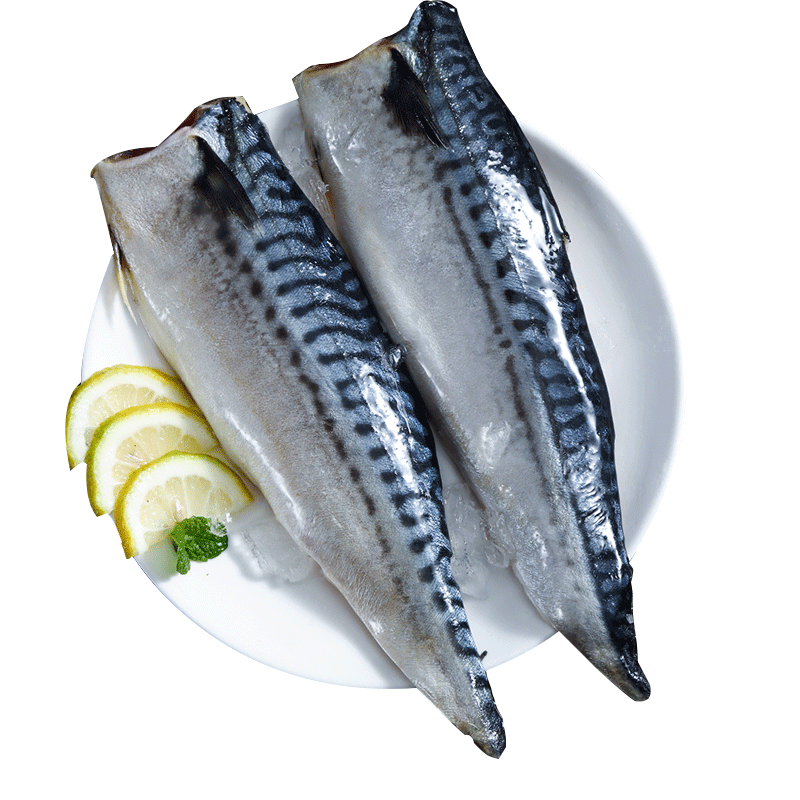 尚致青花鱼1000g冷冻鲭鱼生鲜海鲜烧烤食材大鲐鱼青花鱼片鲐鲅鱼海鱼海鲜水产青花鱼 虎窝购 尚致青花鱼1000g冷冻鲭鱼生鲜海鲜烧烤食材大鲐鱼青花鱼片鲐鲅鱼海鱼海鲜水产青花鱼 虎窝购
