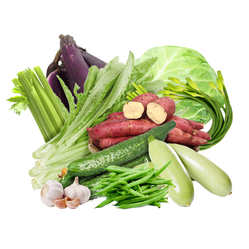 蔬菜11斤组合套装 9种蔬菜