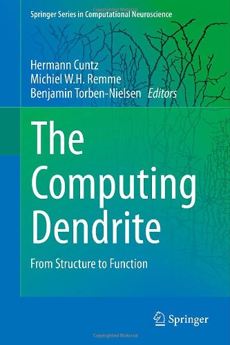 预订 the computing dendrite