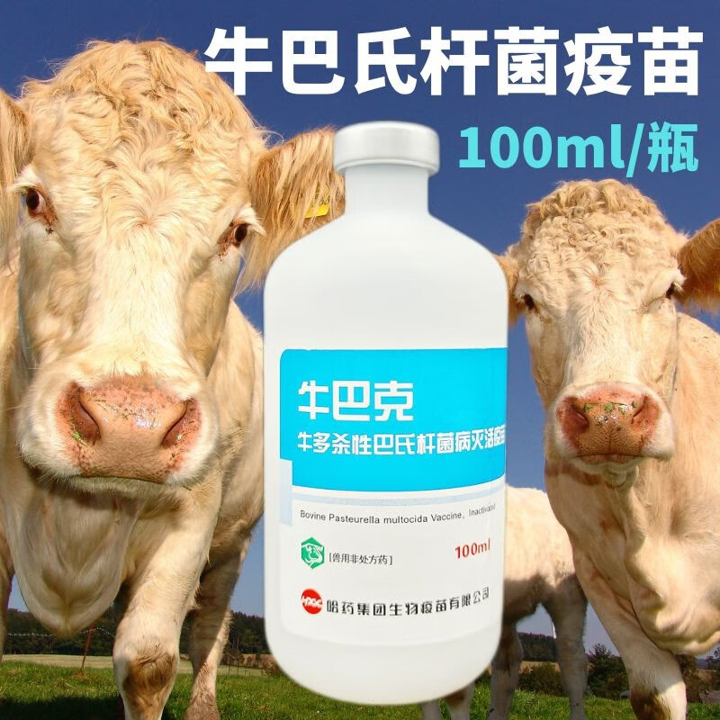 兽用疫苗行业的前沿动态与发展趋势