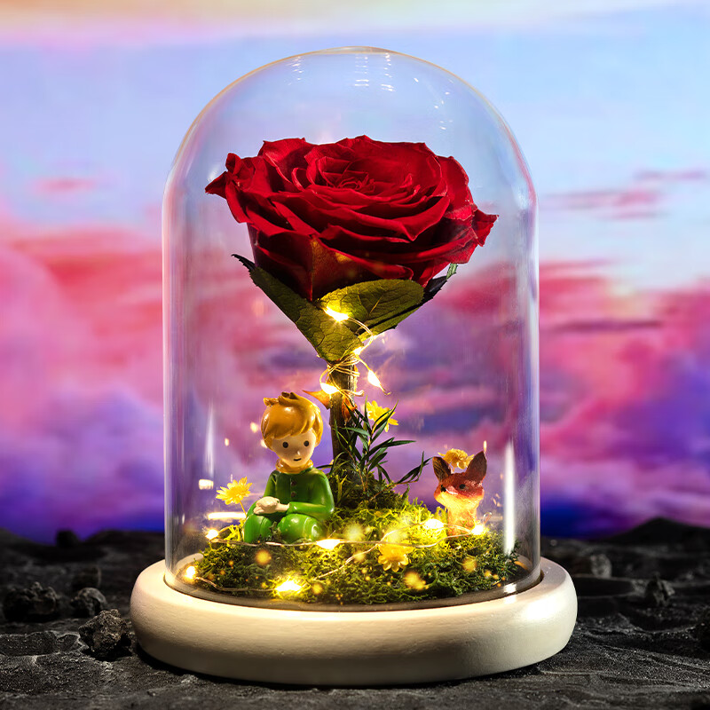 依雯然(ivenran)永生花小王子红玫瑰玻璃罩生日礼物女教师节礼物送