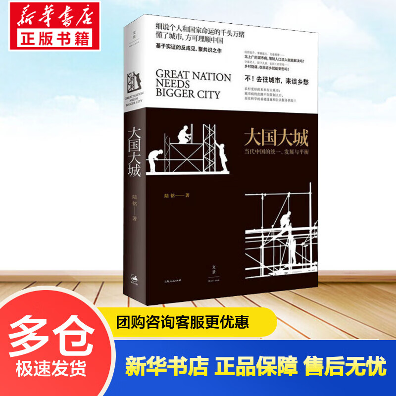 大国大城 当代中国的统一、发展与平衡 陆铭 书籍