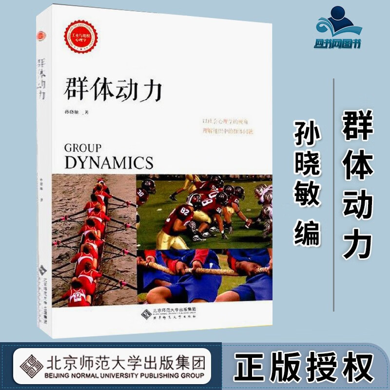 包邮 群体动力 孙晓敏 北京师范大学出版社 工业与组织心理学 群体心理机制