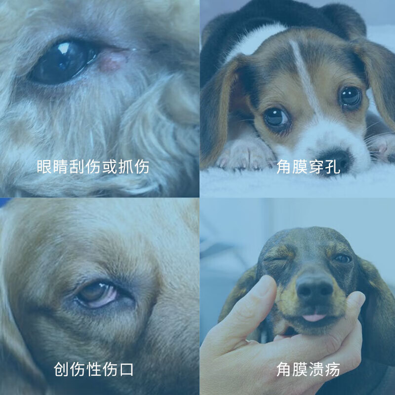 【顺丰空运】美国闪粹修复凝胶宠物猫狗角膜腐骨溃疡干眼症人造泪滴眼液 闪粹5ml(角膜滴眼液)联系客服送礼品 5ml*1瓶